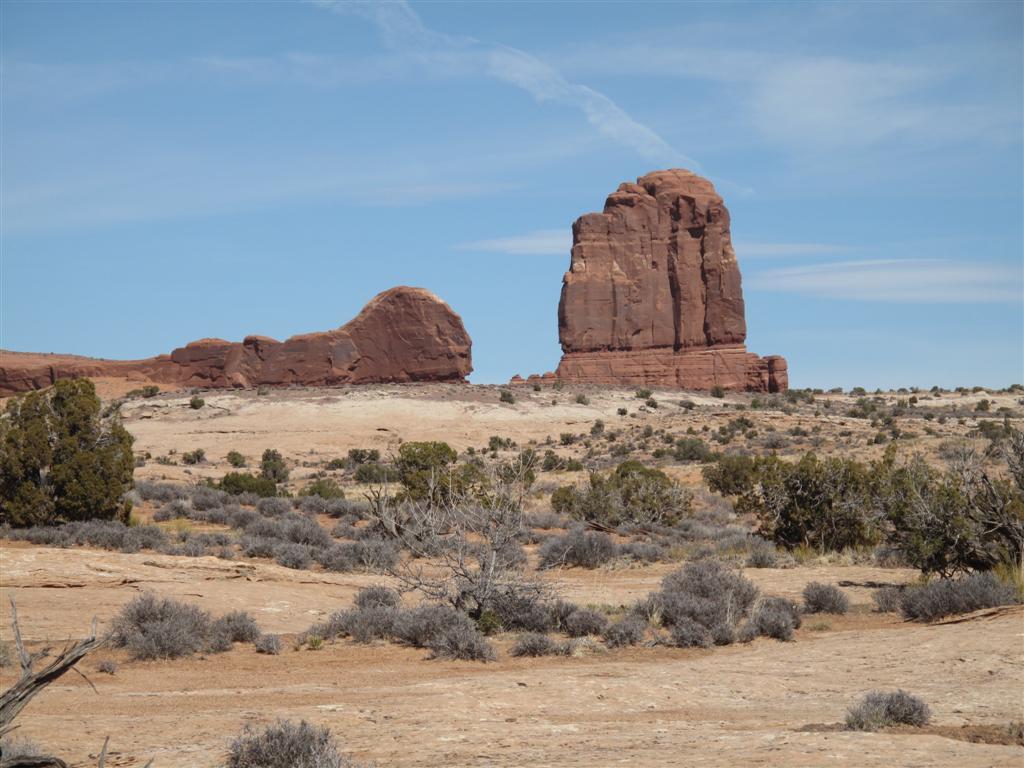 IMG_5594 (Large).JPG IMG_5594 (Large).JPG